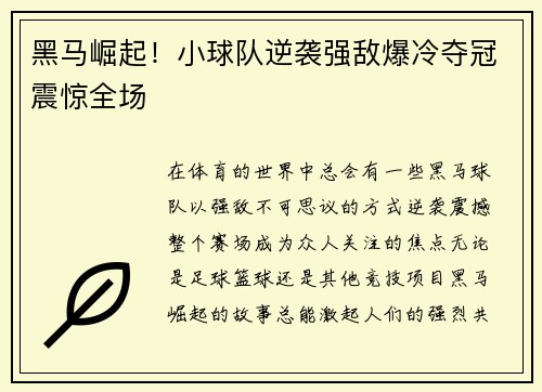 黑马崛起！小球队逆袭强敌爆冷夺冠震惊全场